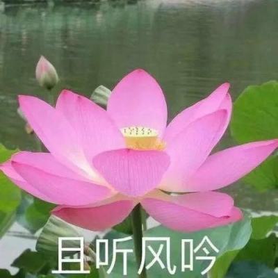 急难愁盼|大班没读幼儿园却不退2万预交费？北京朝阳区教委：已责成退费