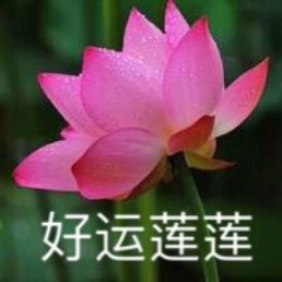 两岸同胞在沈阳共迎中秋