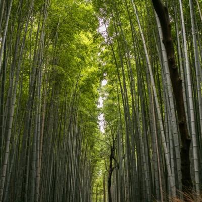 北京卫戍区某警卫团营造和谐融洽内部环境